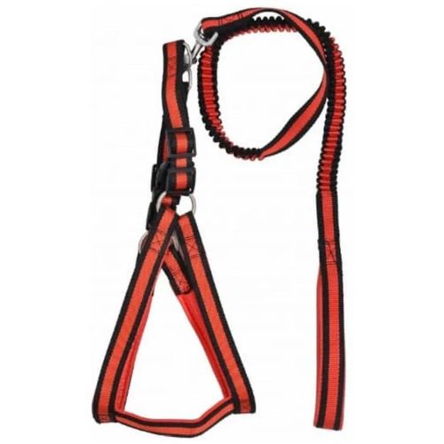 HARNAIS AVEC LAISSE ELASTIQUE