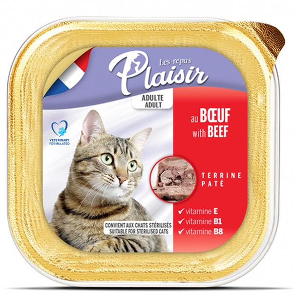 BARQUETTE PLAISIR - BOEUF 100 G