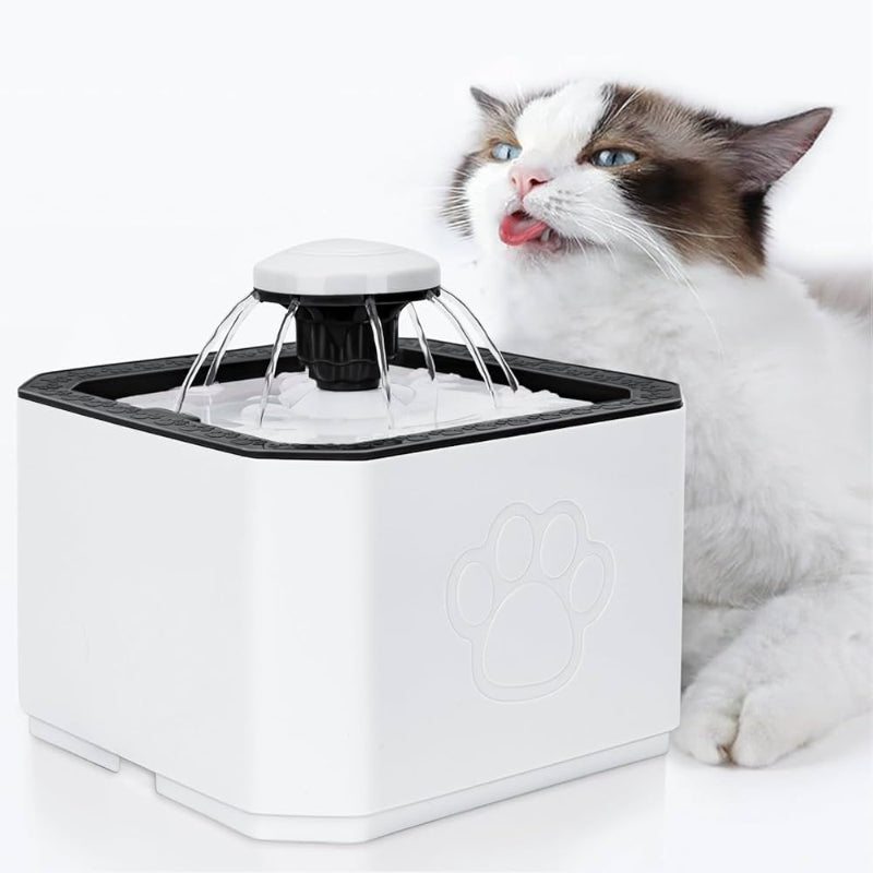 FONTAINE D'EAU 2.5 L
