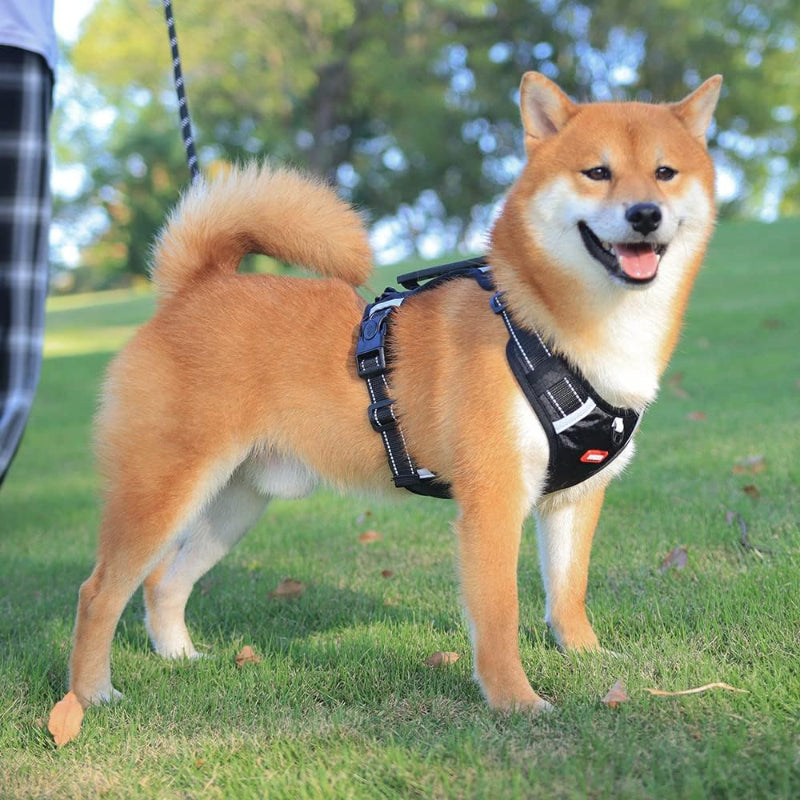 HARNAIS POUR CHIEN EN NOIR