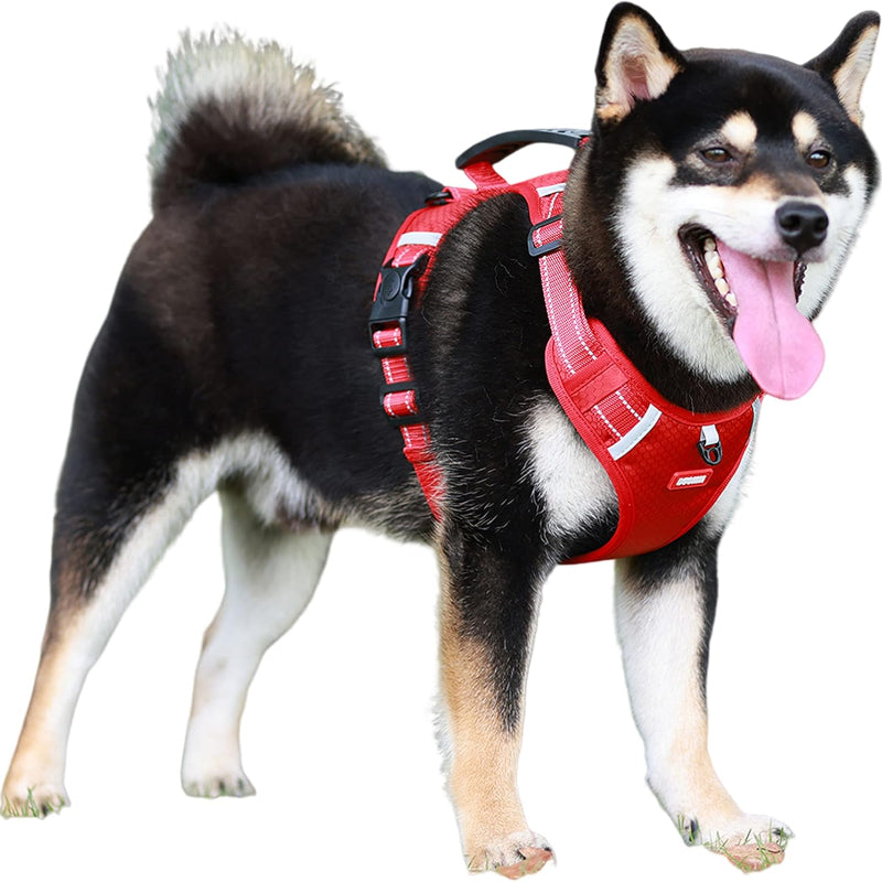 HARNAIS POUR CHIEN EN ROUGE