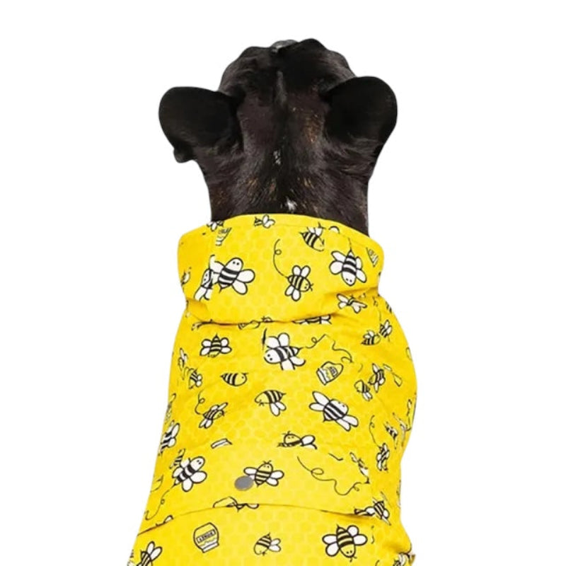 CANADA POOCH - CAPUCHE