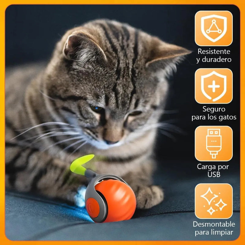 JOUETS INTERACTIFS ELECTIQUES AVEC CORDE DE ROTATION AUTOMATIQUE