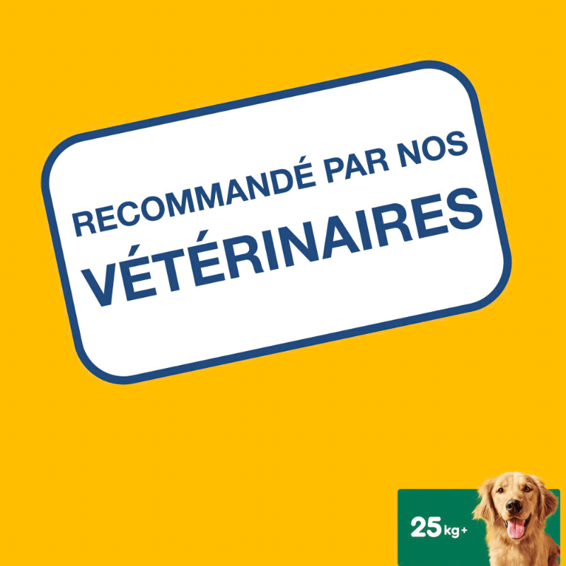 PEDIGREE - OS POUR CHIEN AU POULET