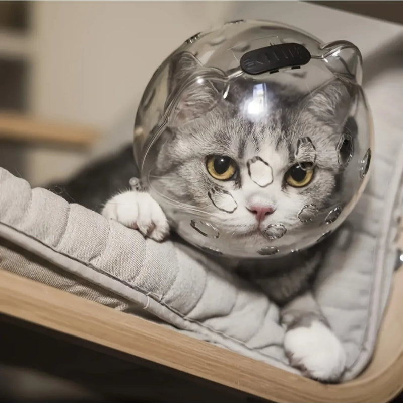 MUSELIERE CHAT POUR TOILETTAGE