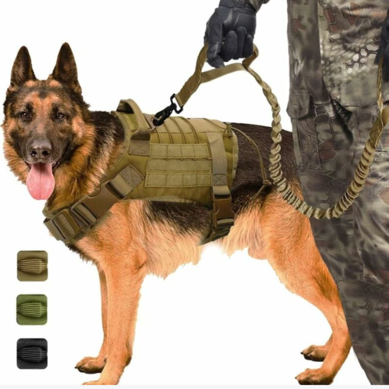 SET HARNAIS POUR GRAND CHIEN