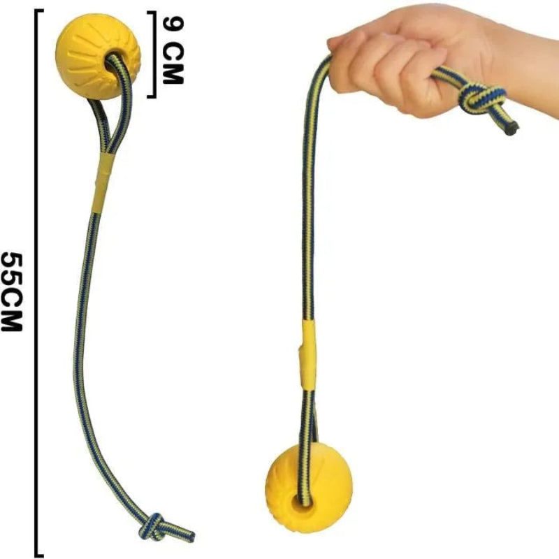 BALLE DE DRESSAGE AVEC CORDE