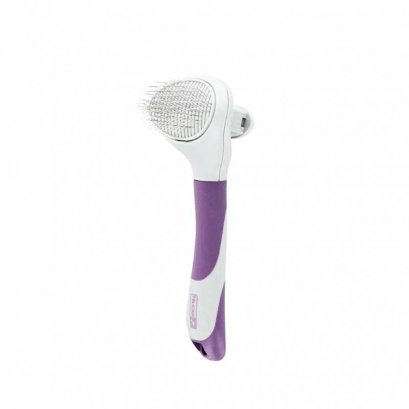 BROSSE AUTO NETTOYANTE AVEC BOUTON