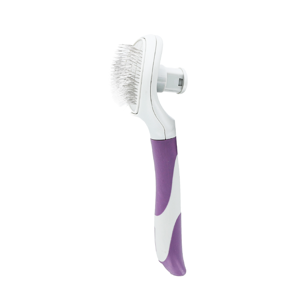 BROSSE AUTO NETTOYANTE AVEC BOUTON