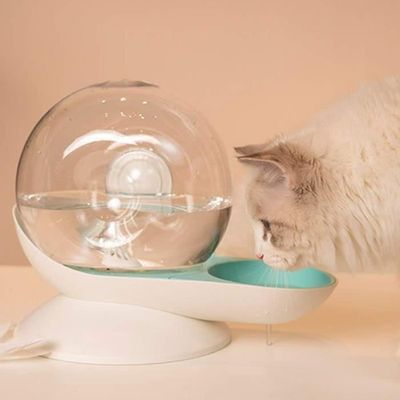 DISTRIBUTEUR D'EAU POUR CHAT ET CHIOT EN BLEU