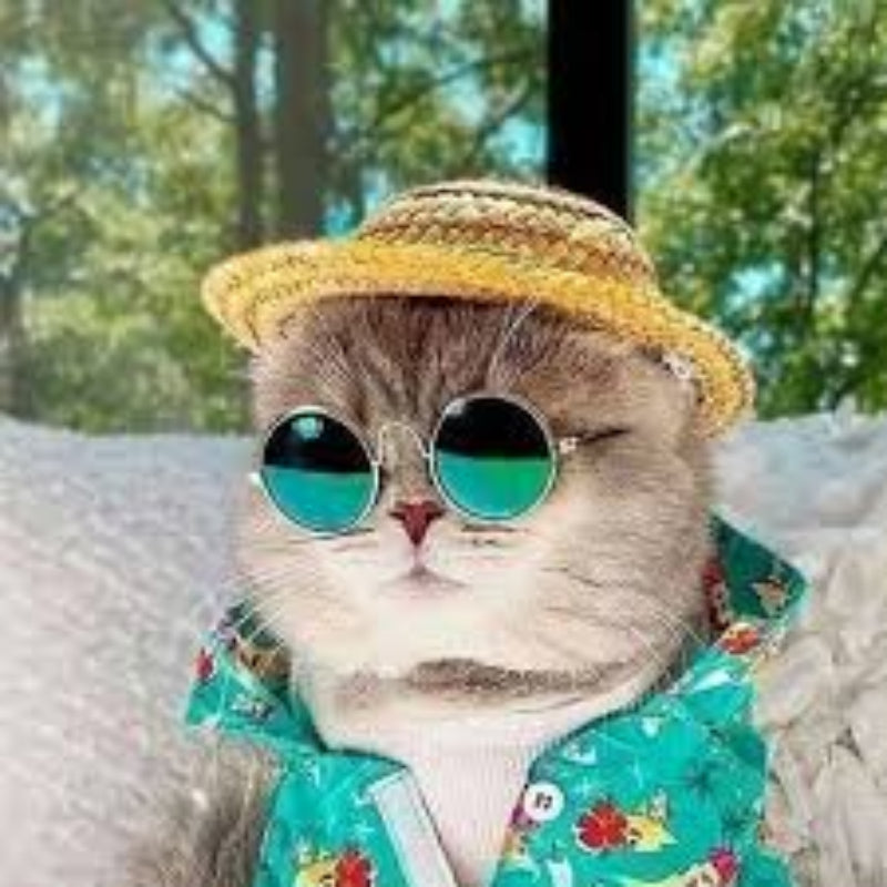 LUNETTE SOLAIRE POUR CHAT CHIEN –