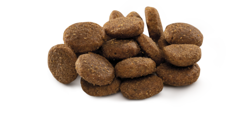 BRIT PREMIUM JUNIOR XL