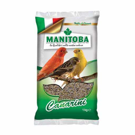 MANITOBA MELANGE CANARI