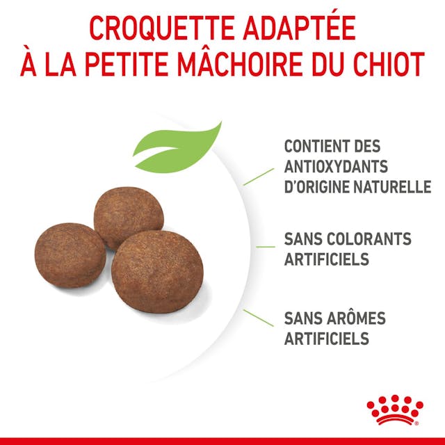 ROYAL CANIN CHIEN MEDUIM PUPPY