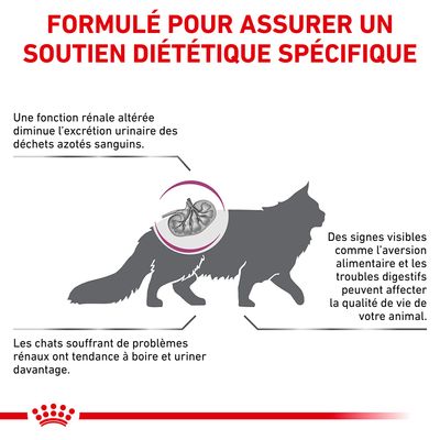 ROYAL CANIN - CROQUETTE  VETERINARY RENAL POUR CHAT  2KG
