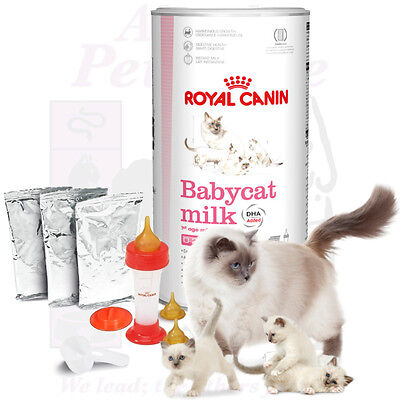 MILKOCAT lait pour chatons - The Breeder's Shop