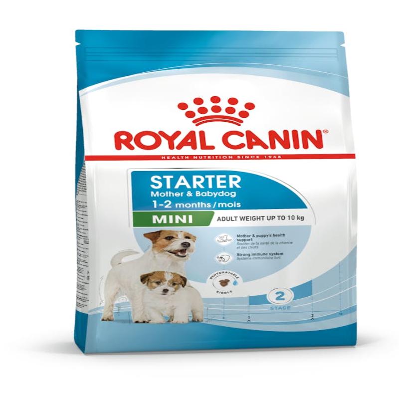 ROYAL CANIN - CROQUETTE CHIEN MINI STARTER MOTHER & BABY