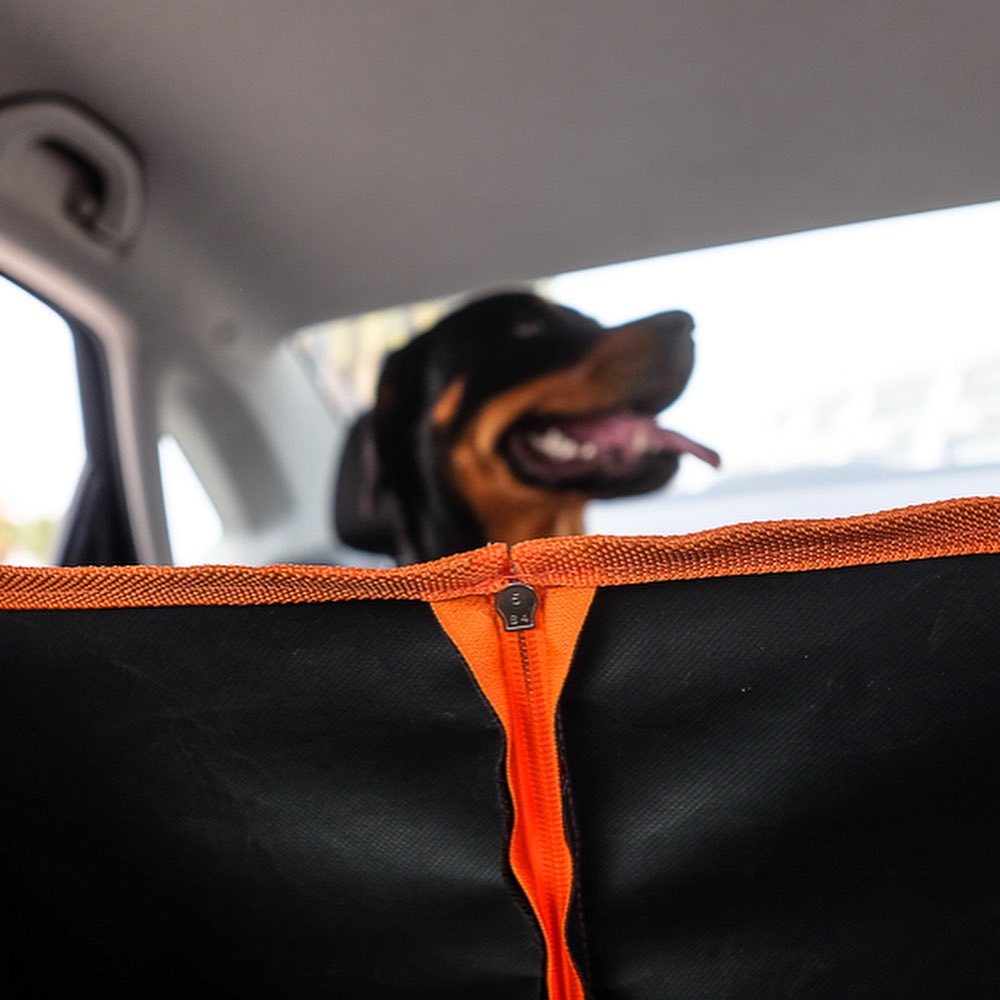 GAIA - HOUSSE DE VOITURE POUR CHIEN