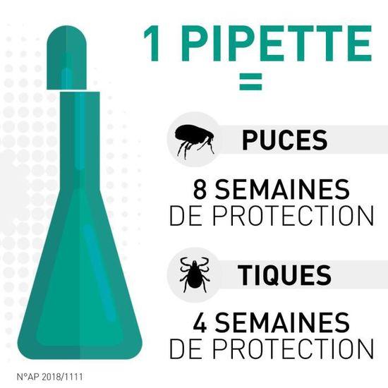 Frontline Combo Pipette Chien 10-20 kg Anti-puces et Tiques - LOT DE 1