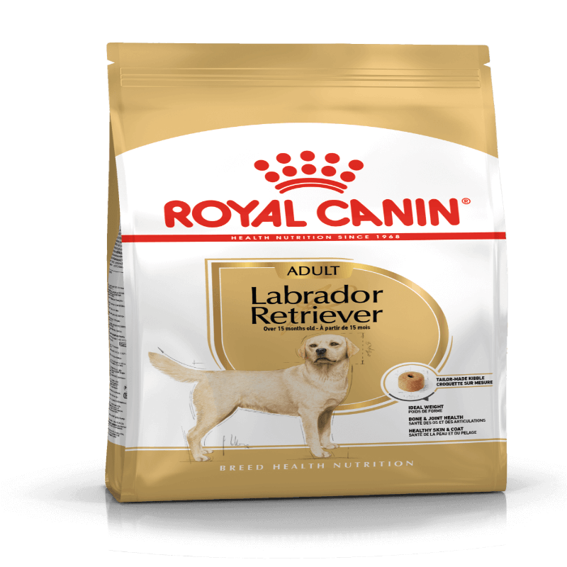 ROYAL CANIN CHIEN LABRADOR ADULT 12 KG